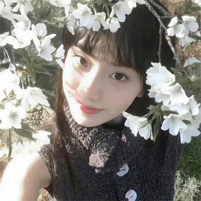 伤物语I铁血篇